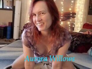 Aurora_Willows