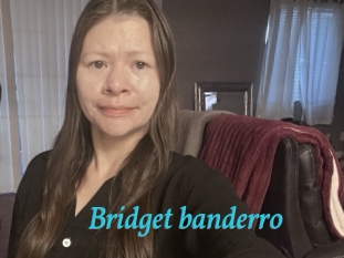 Bridget_banderro