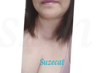 Suzecat